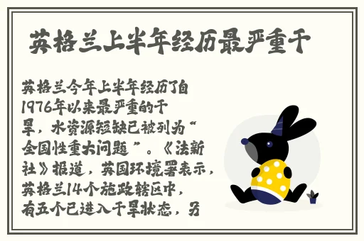 99杏精品一区二区在线