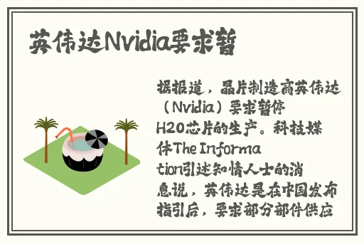 授课方式by肉馅小水饺视频